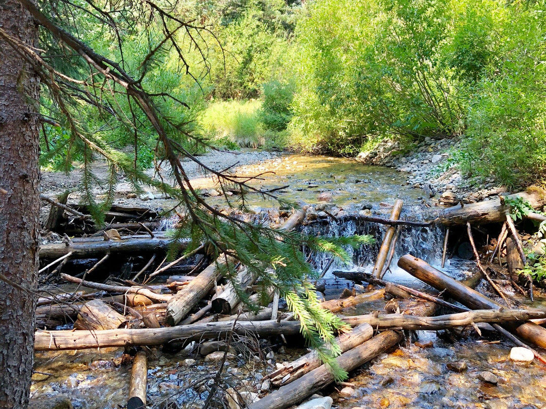 Sawmill Creek Trail景点图片