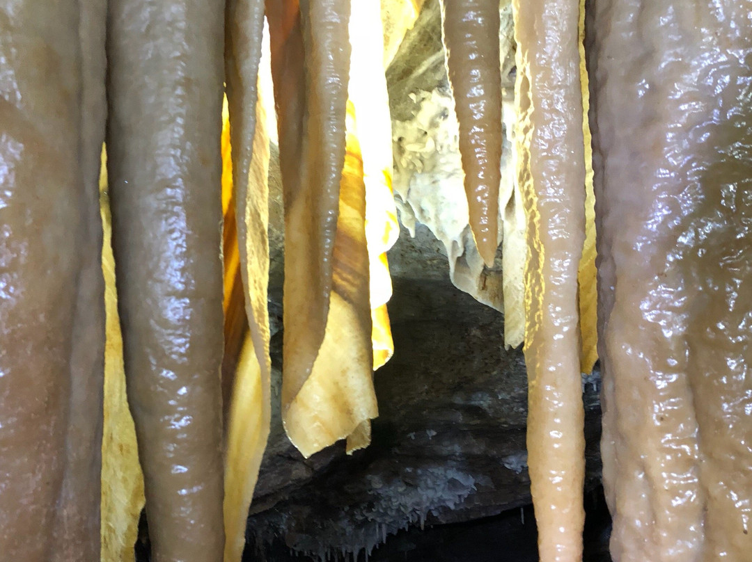 Grotte de Soustelle-Cendras必去景点