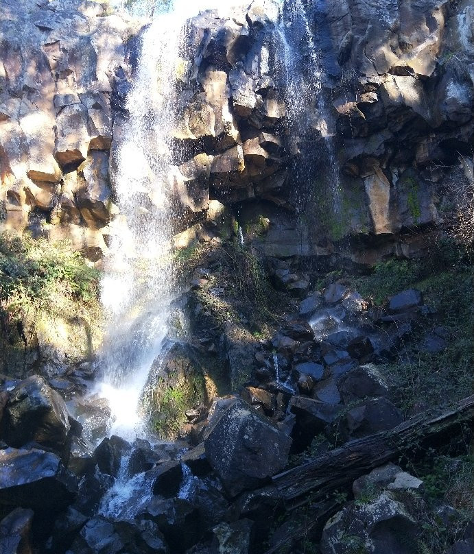 Sailors Falls & Mineral Springs景点图片