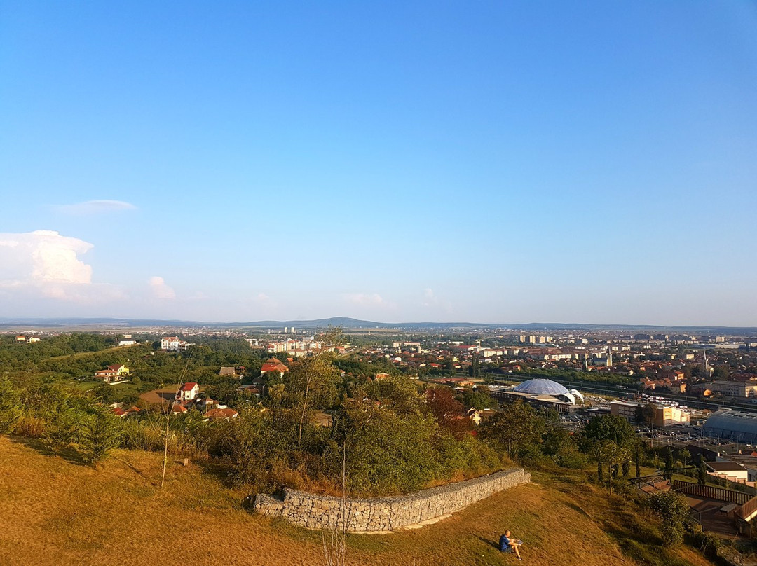 Ciuperca Hill景点图片