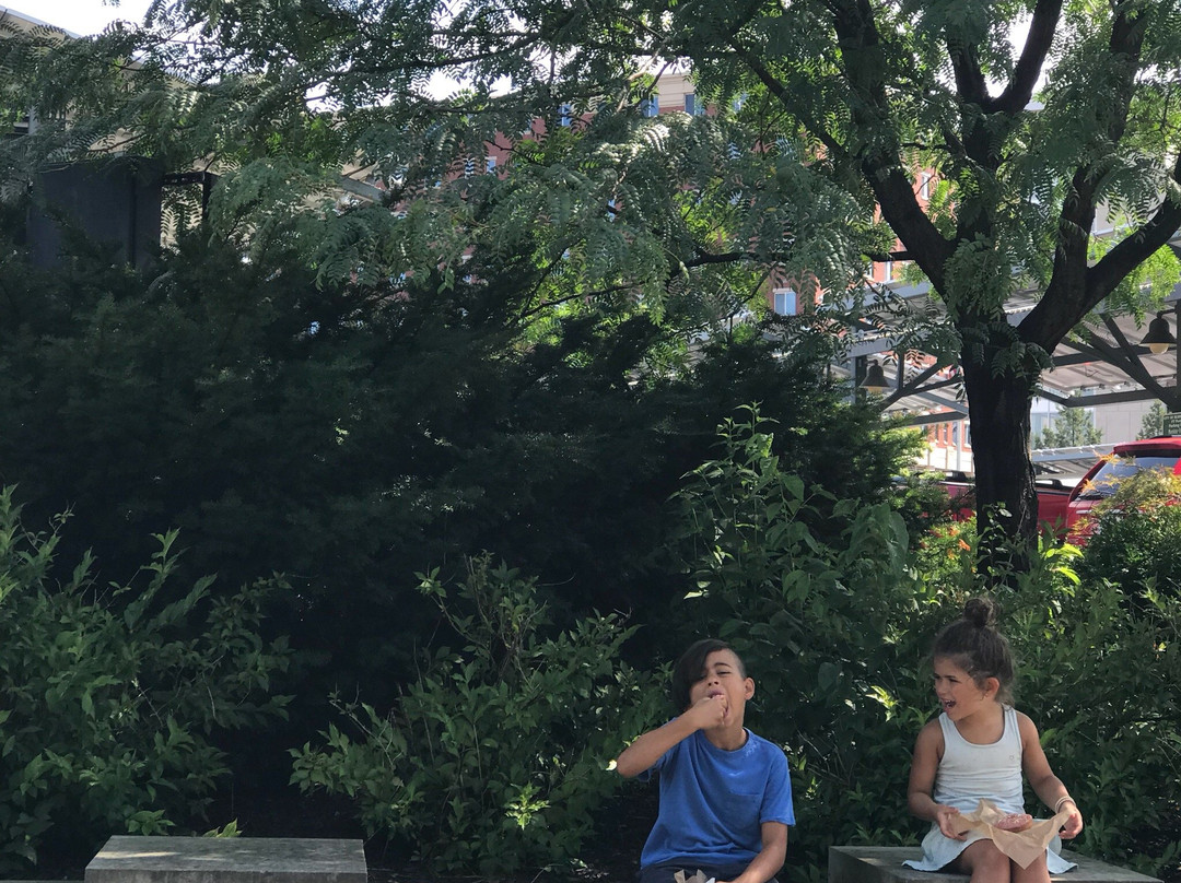 B-Line Trail-布卢明顿必去景点