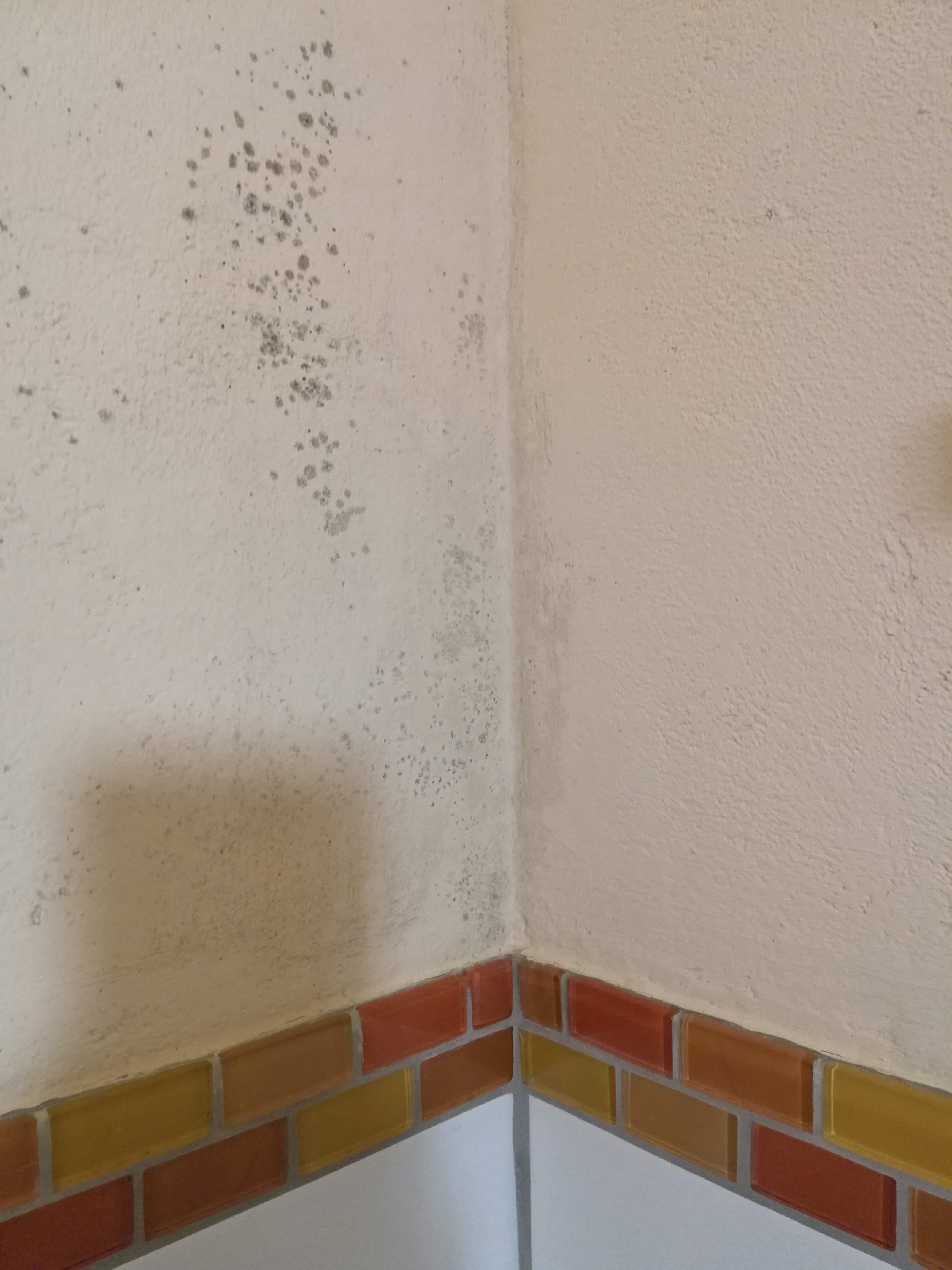 Pension Elisabeth-浴室