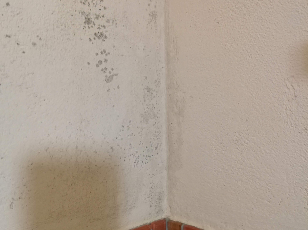 Pension Elisabeth主图