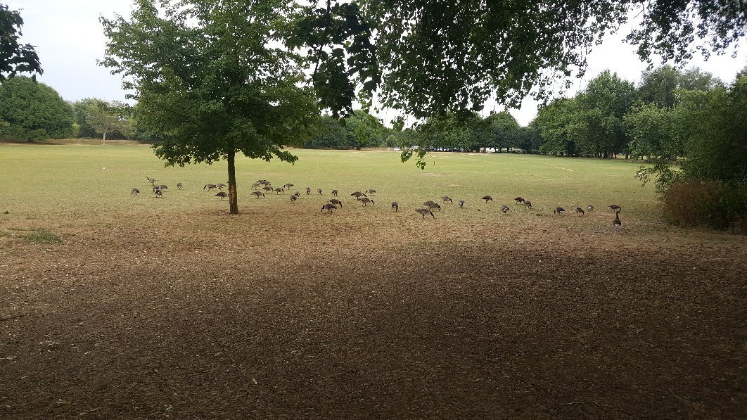 Alvaston Park-Alvaston必去景点