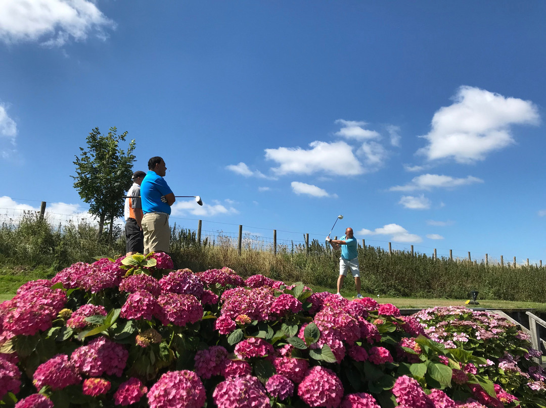 Zaanse Golf Club-Wijdewormer必去景点