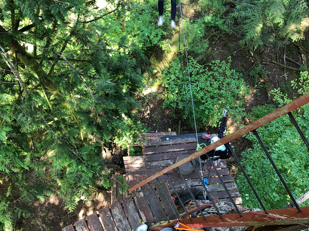 Treehouse Island Zipline Adventures-Silverlake必去景点