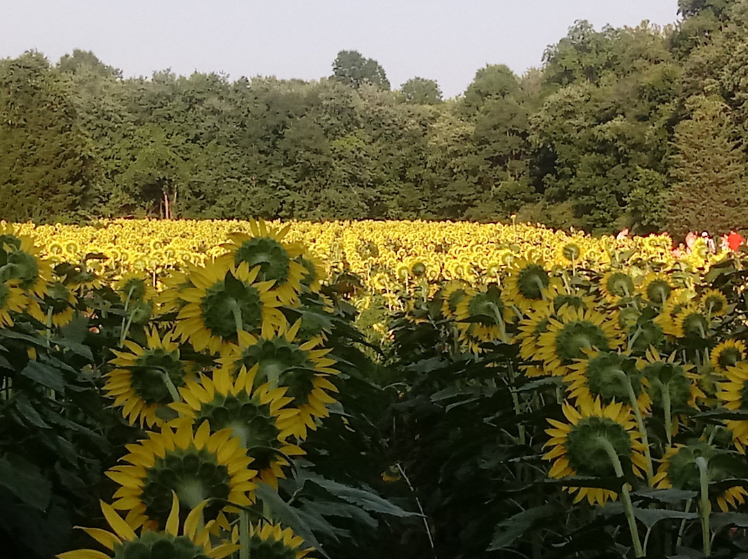 McKee-Beshers Wildlife Management Area-Poolesville必去景点