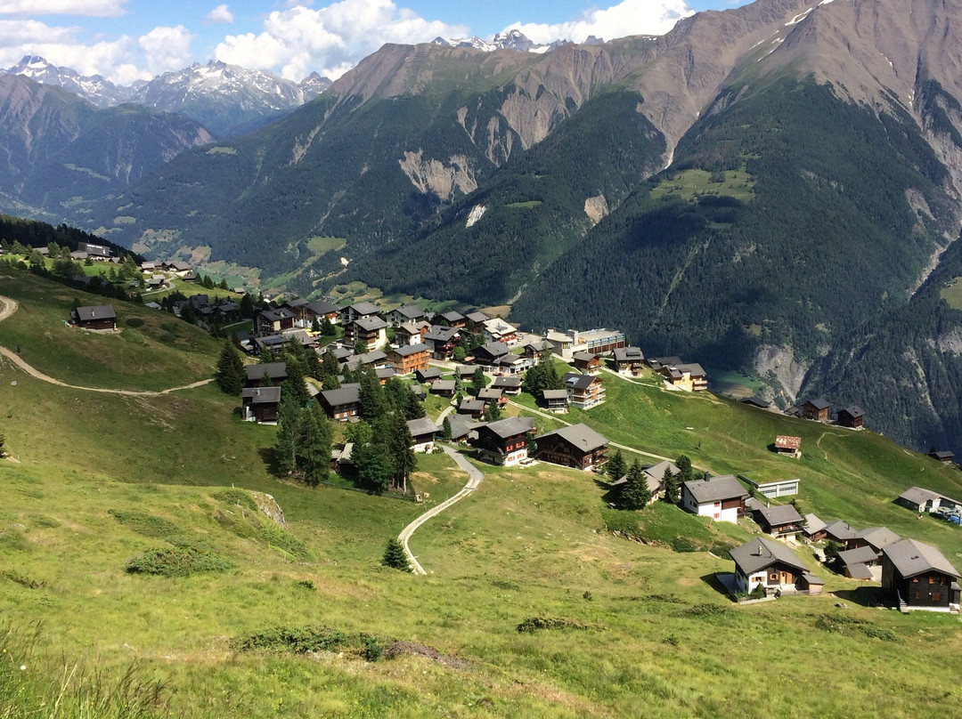 Villa Cassel - Pro Natura Zentrum Aletsch-利德阿尔卑必去景点