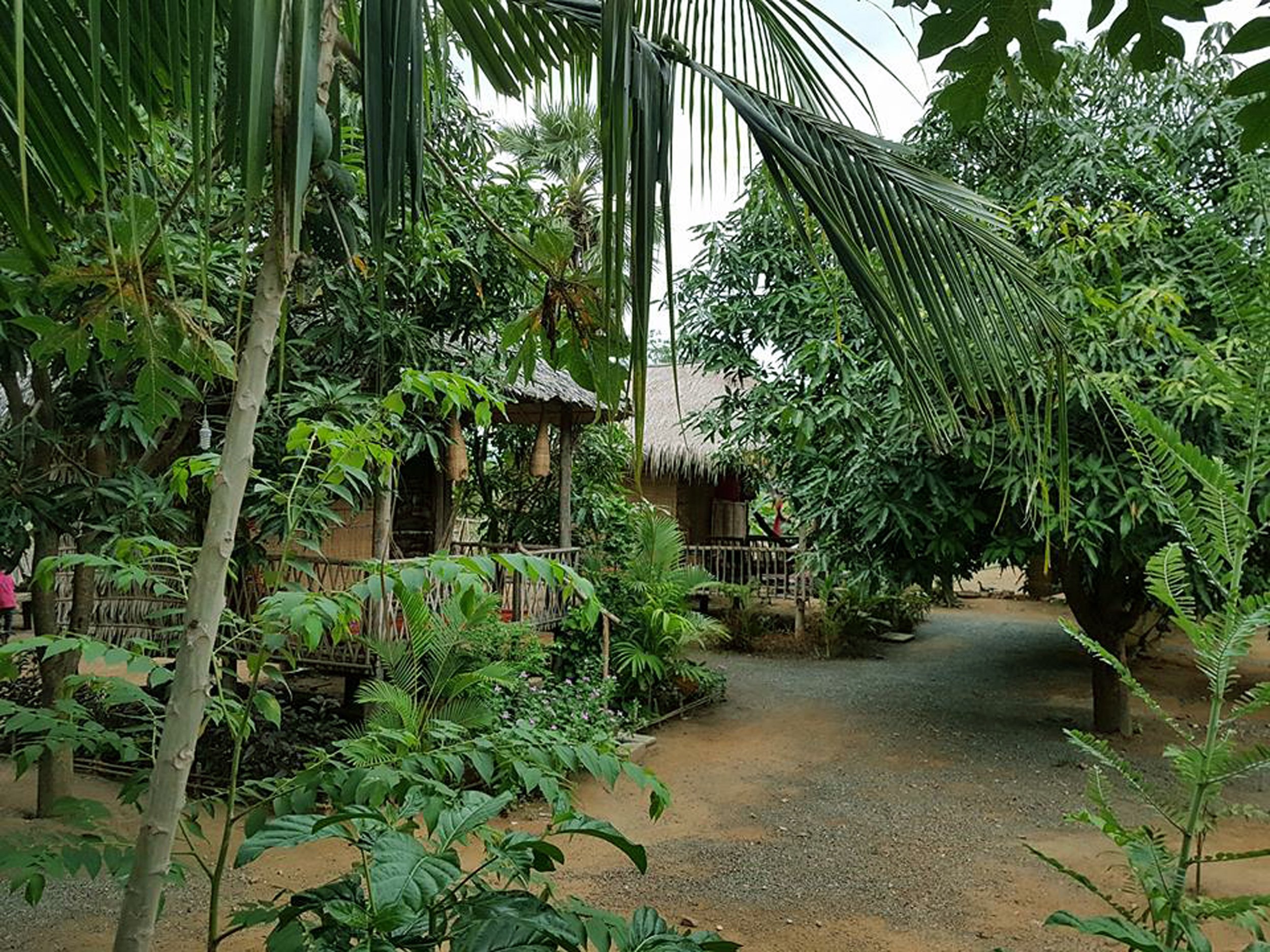 Prey Kun trong Homestay-官方