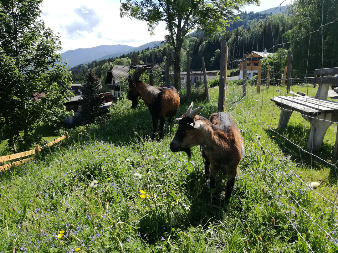 Panoramahotel Stocker主图