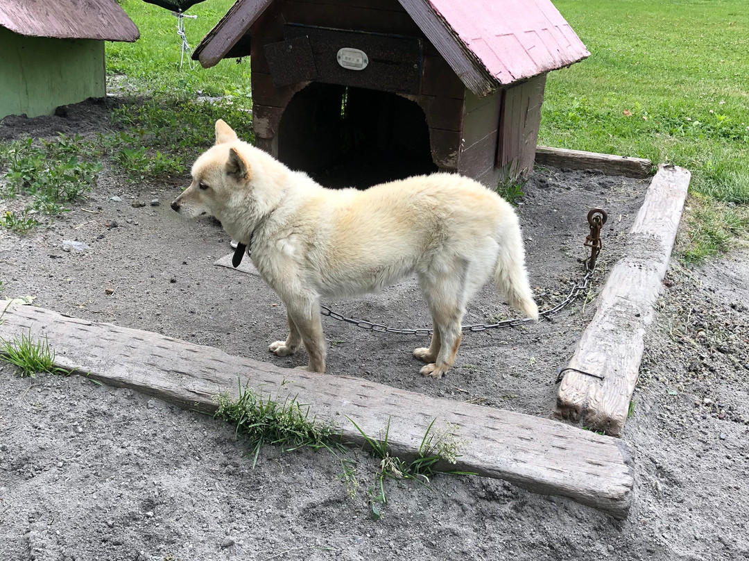 Hokkaido Hakone Farm-千岁市必去景点