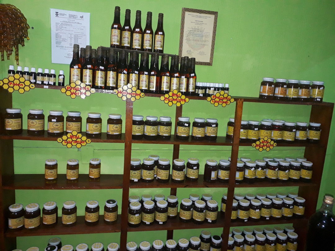 Granato Apiario e Emporio-圣安东尼奥杜皮尼亚尔必去景点