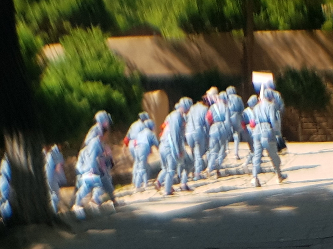 南泥湾革命旧址景点图片