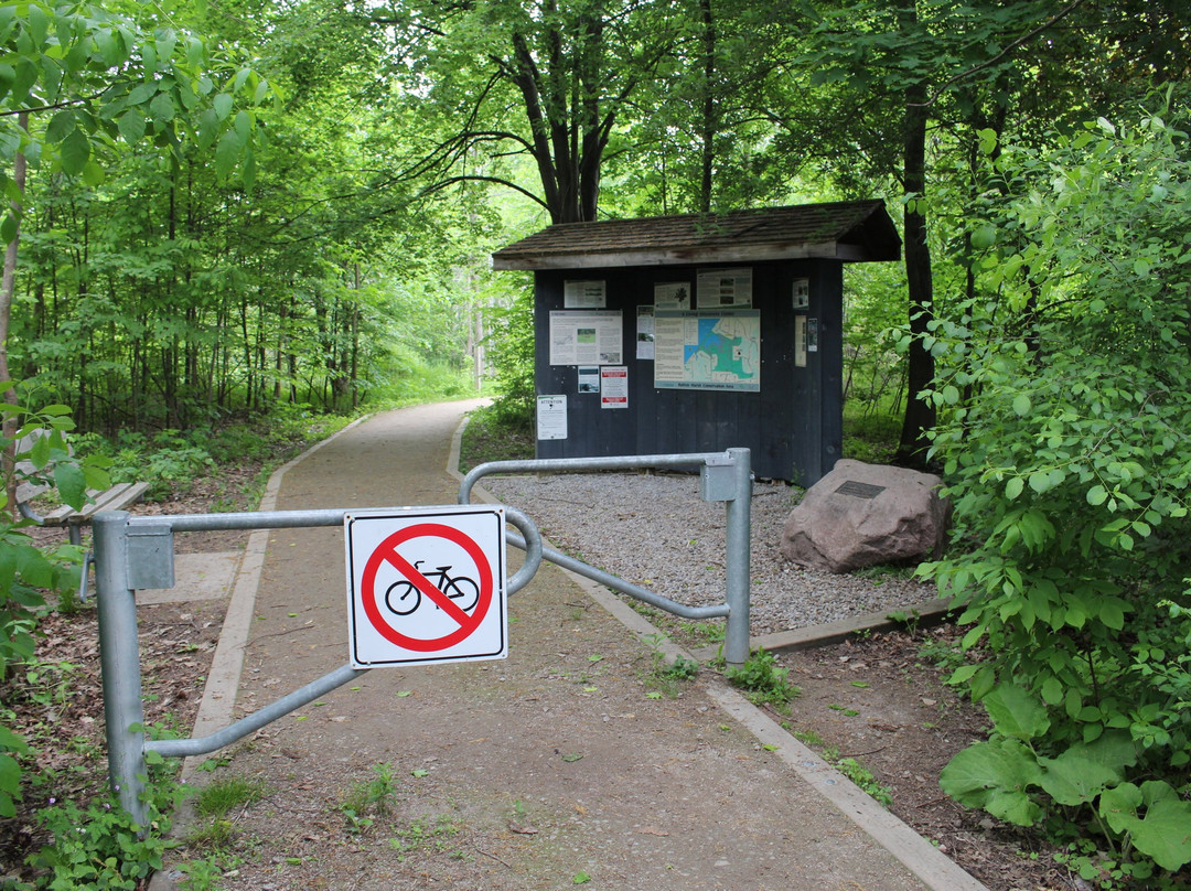 Rattray Marsh Conservation Area景点图片