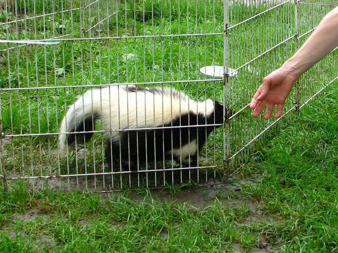 Idle-Hour Ranch-Troy必去景点