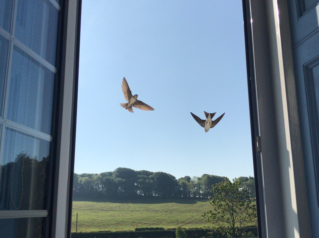 Castlewigg Lodge B&B主图