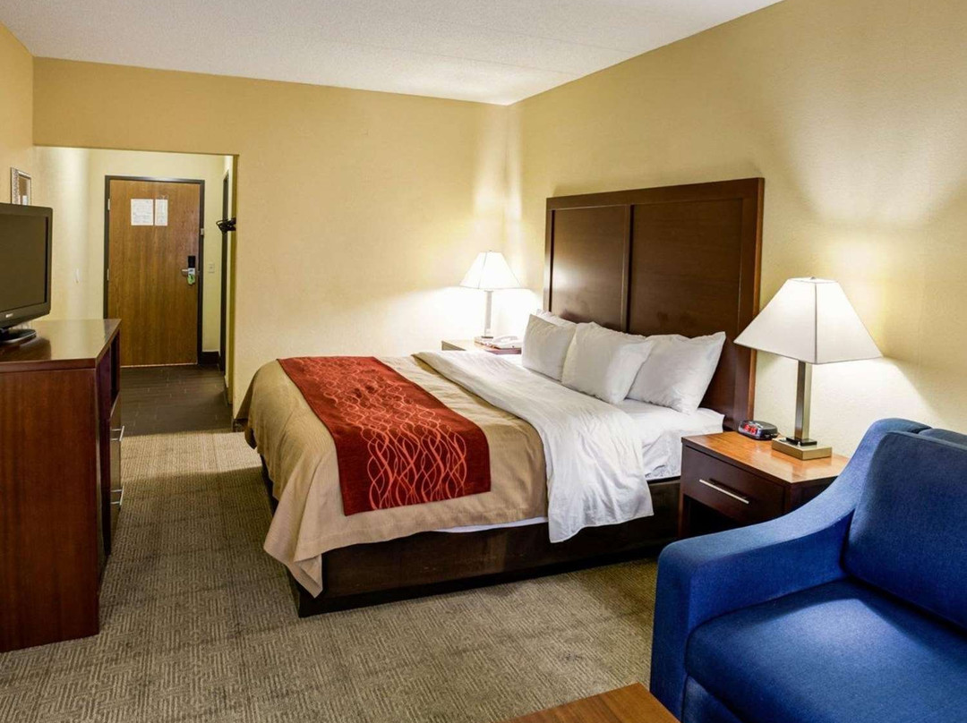 Comfort Inn Hamburg Area / I-75 Lexington主图
