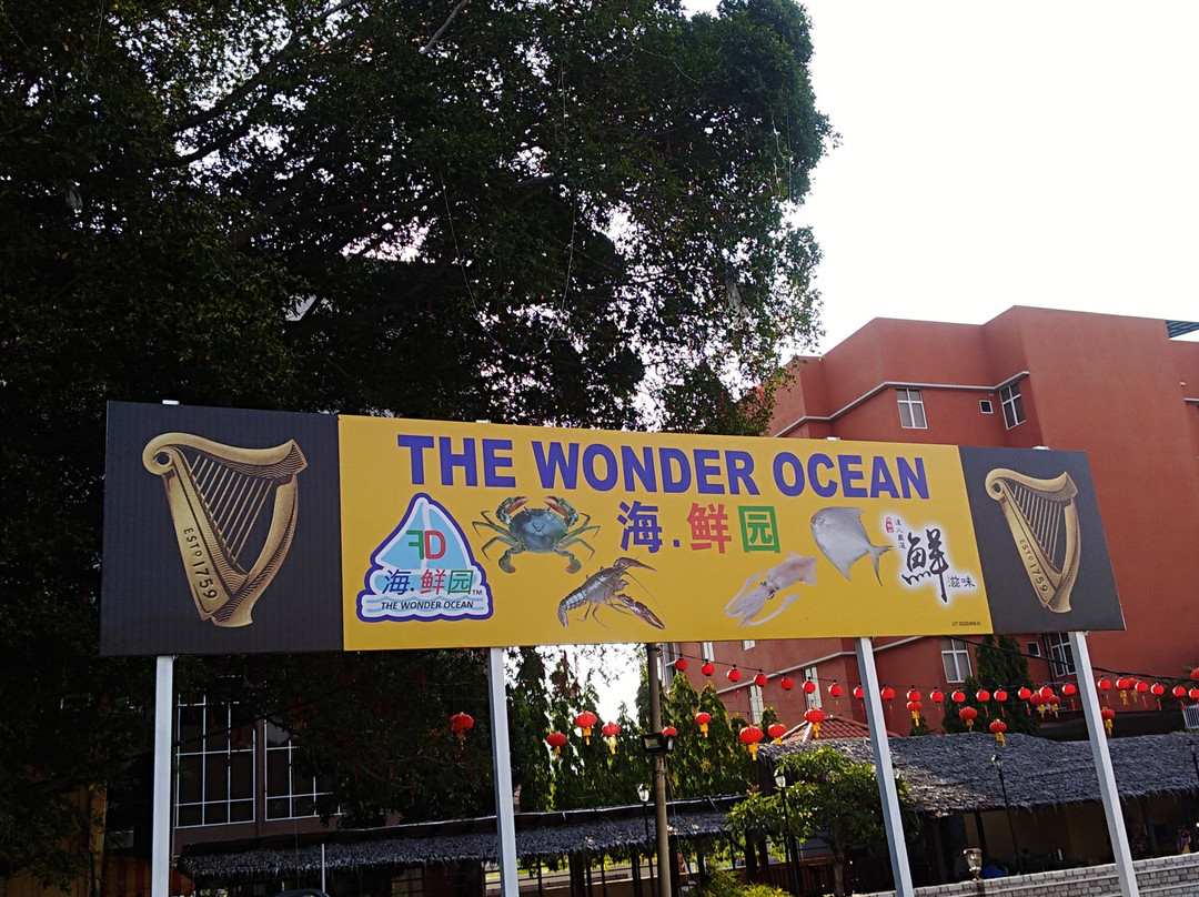 The Wonder Ocean