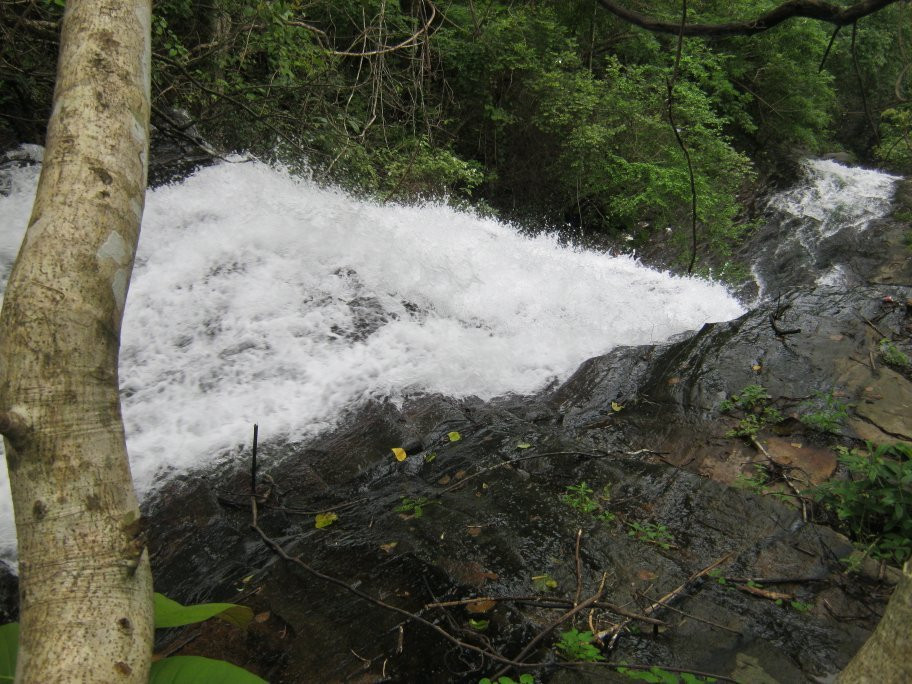 Pattathipara Waterfall景点图片