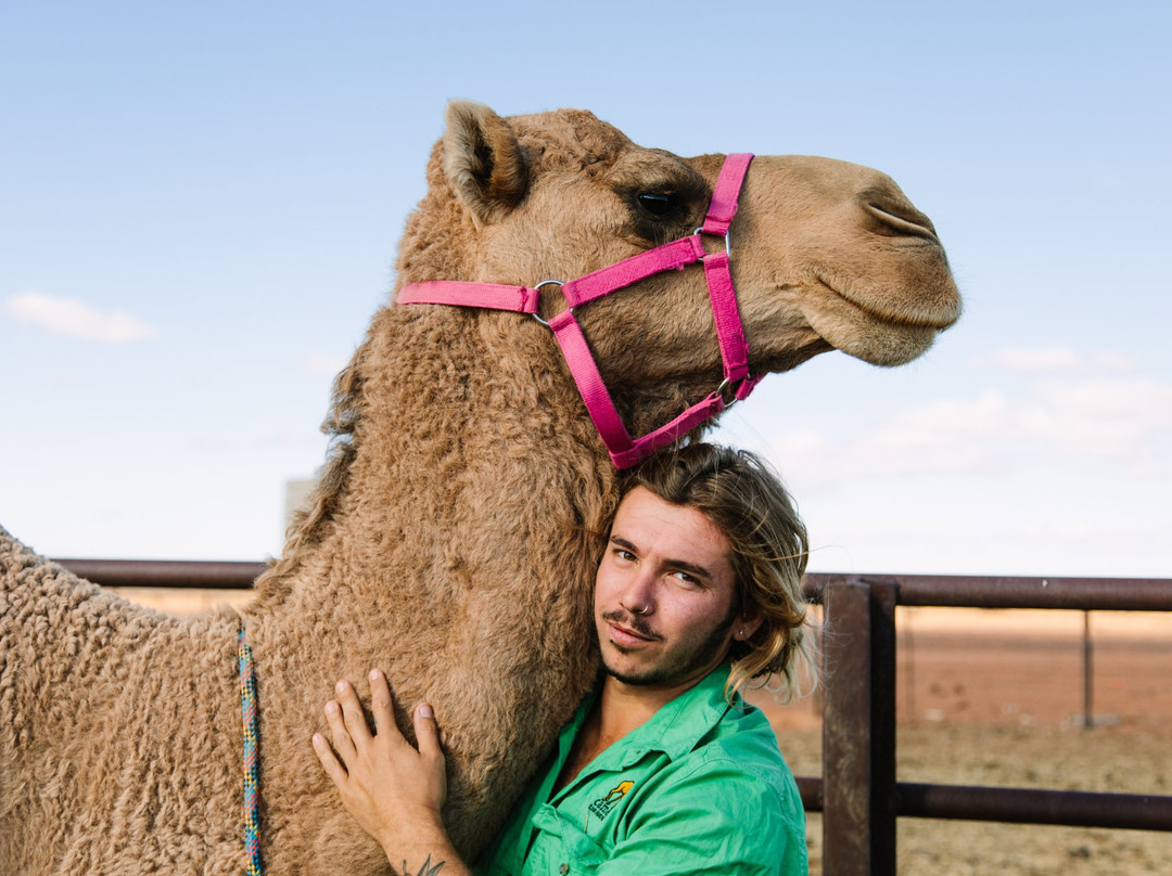 Camel Treks Australia景点图片