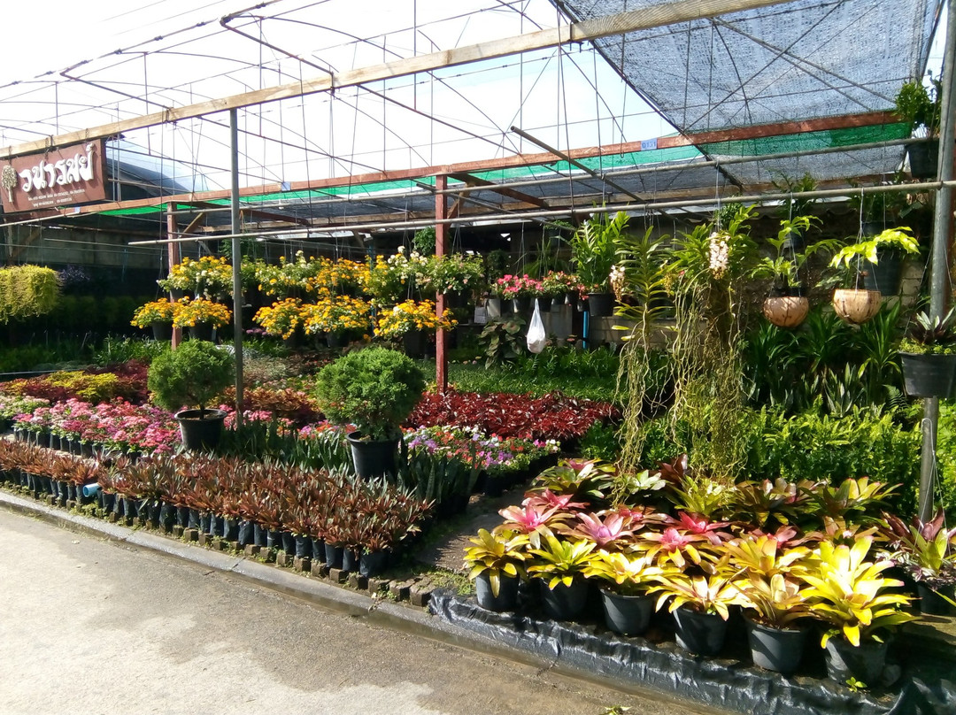 Khamthiang Flower Market景点图片