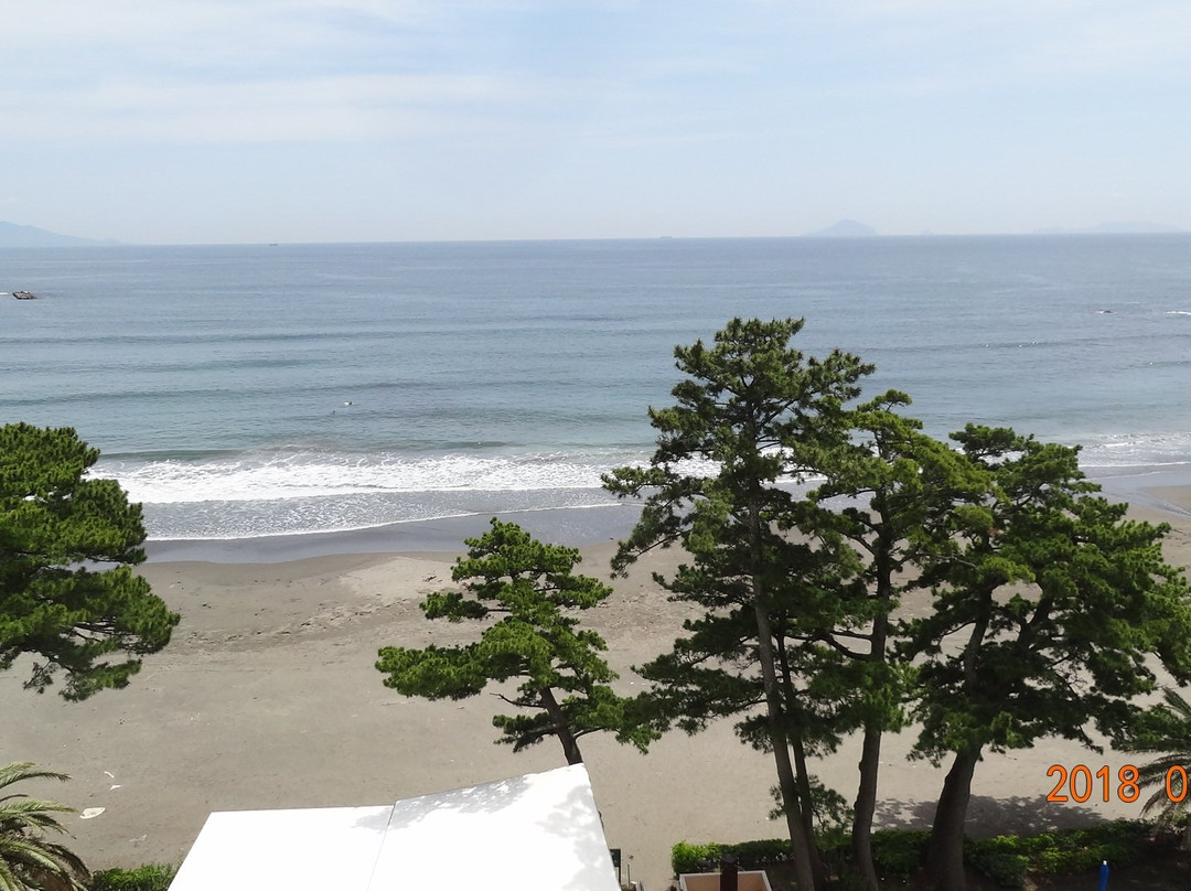 Imaihama Beach景点图片
