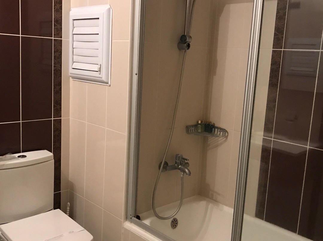 Gold Yildirim Hotel主图