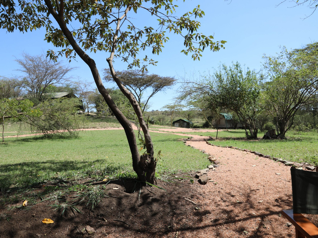 博里尼马拉营地旅馆主图