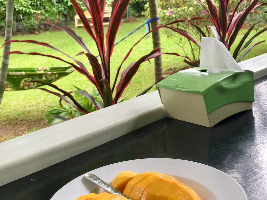 The Green Resort主图