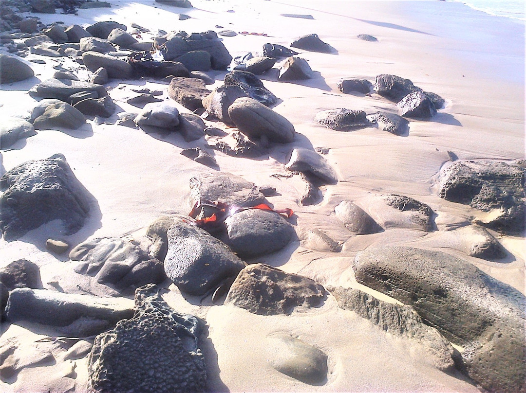 Shelly Beach-洛恩必去景点