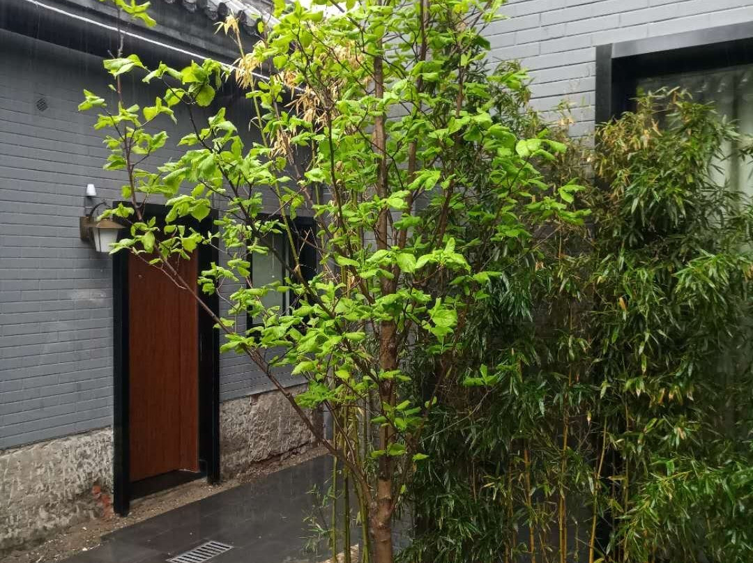 秋果四合院酒店（北京王府井协和医院店）主图