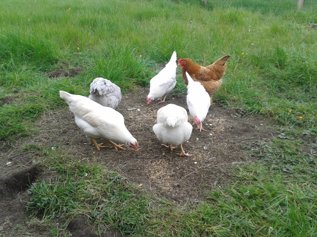 School View B&B主图