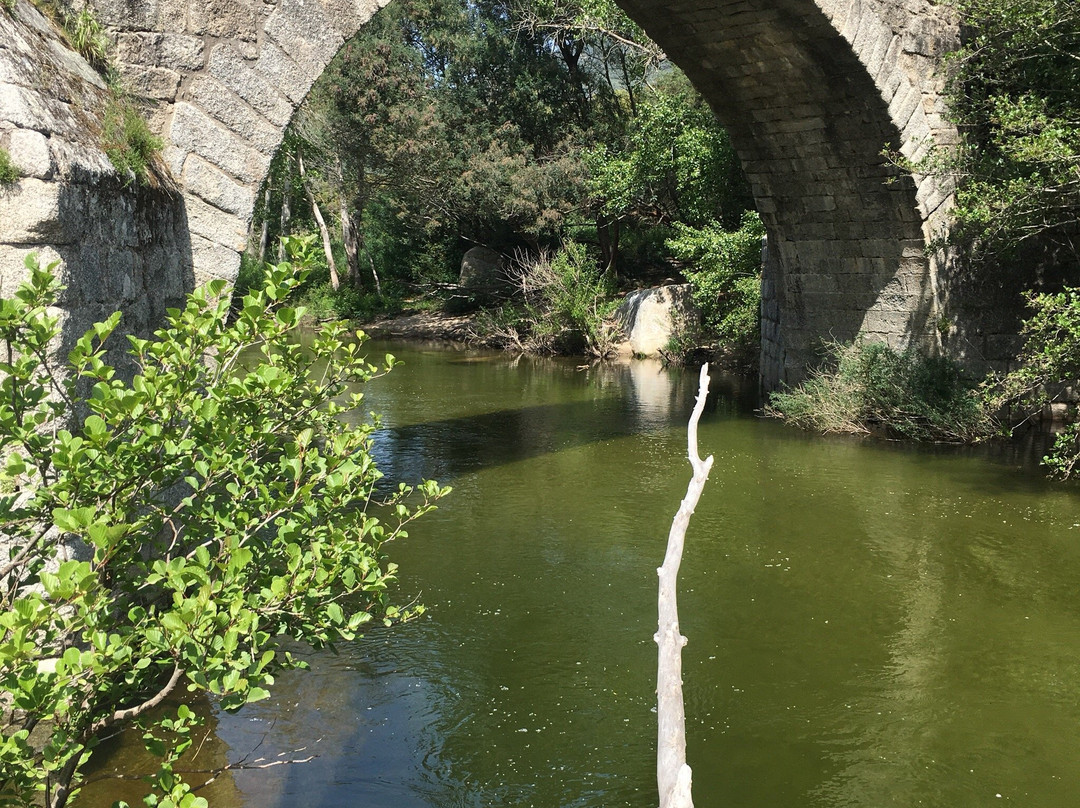 Pont de Spina Cavaddu景点图片