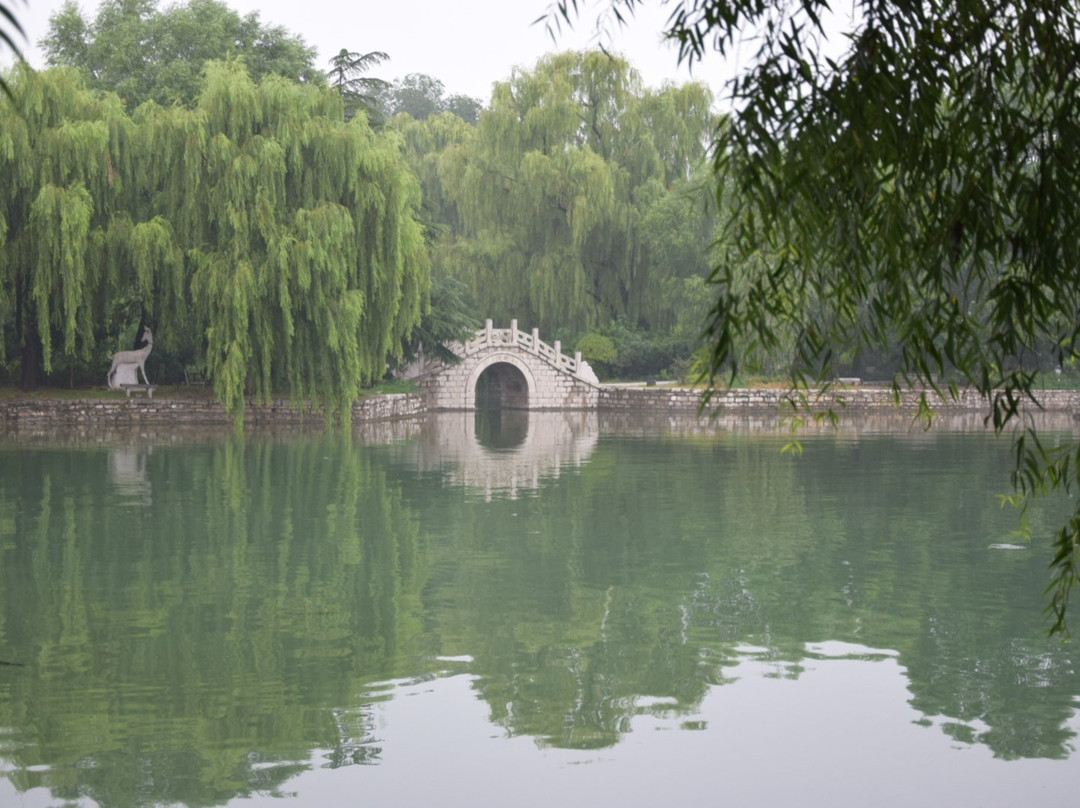 临朐老龙湾-临朐县必去景点