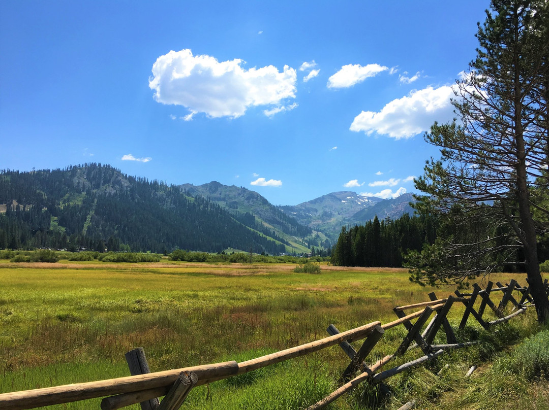 Tahoe Scenic Tours-塔霍维斯塔必去景点