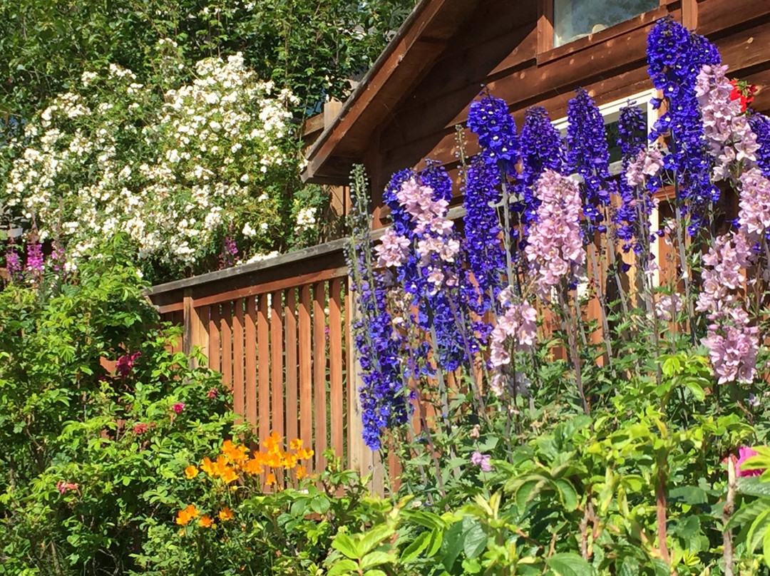 A Stellar View主图