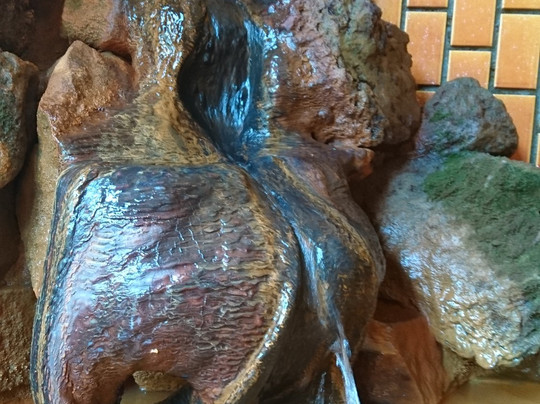 Tengu Onsen Asama Sanso主图