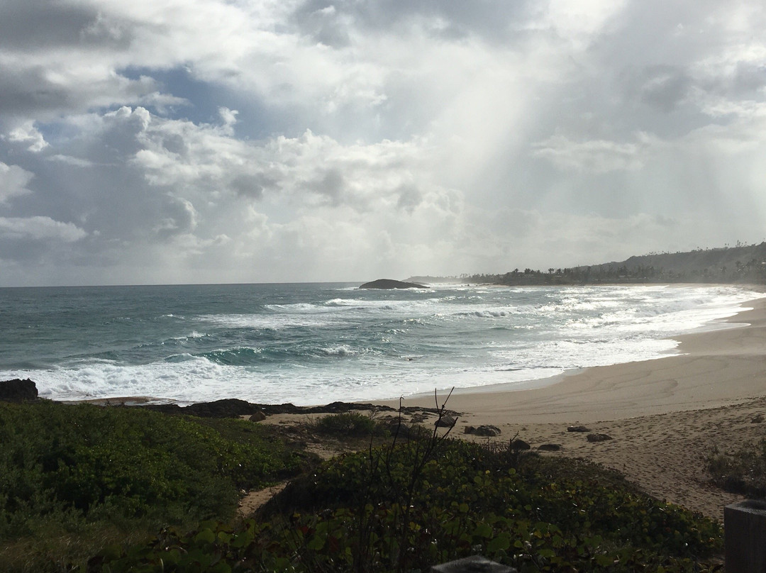 Paseo Lineal-Isabela必去景点