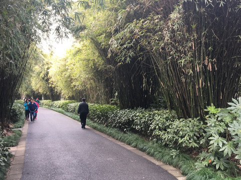 康健园-上海市必去景点