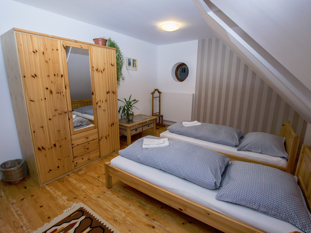 Paulay Winehouse主图