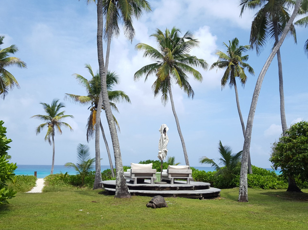 North Island Seychelles主图