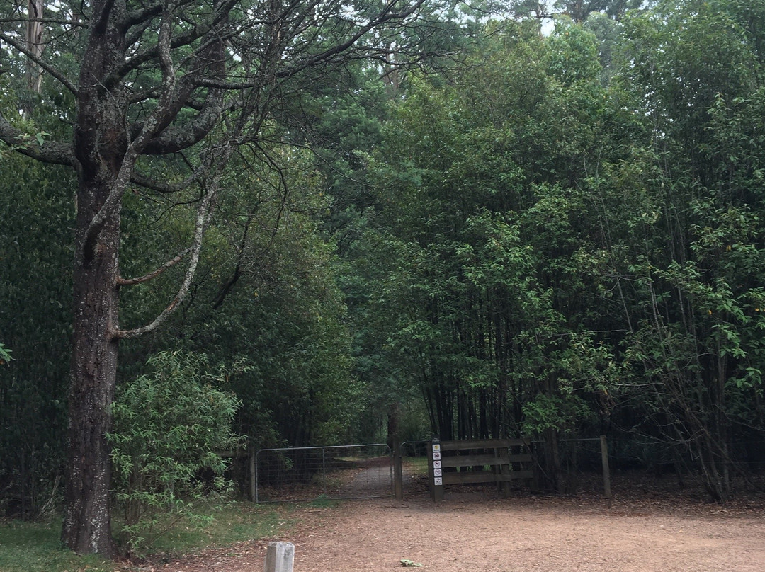 O'Donohue Picnic Ground-希尔布鲁克必去景点