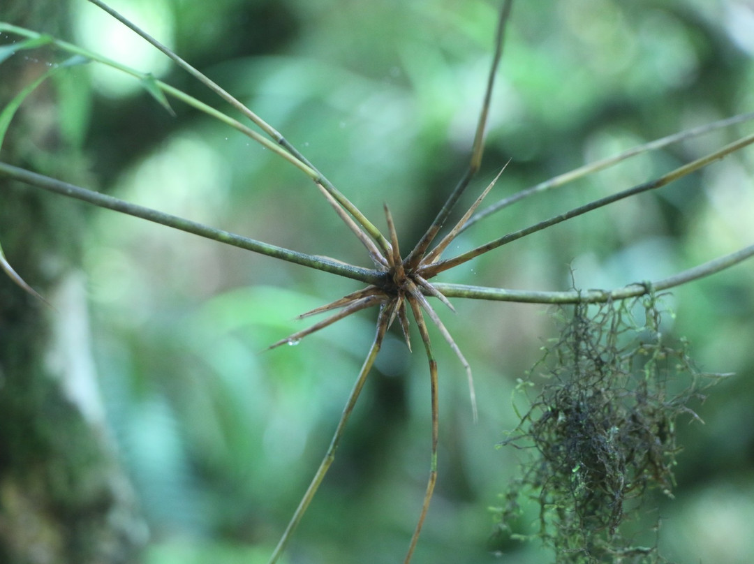 Mount Berembun-丹那拉塔必去景点