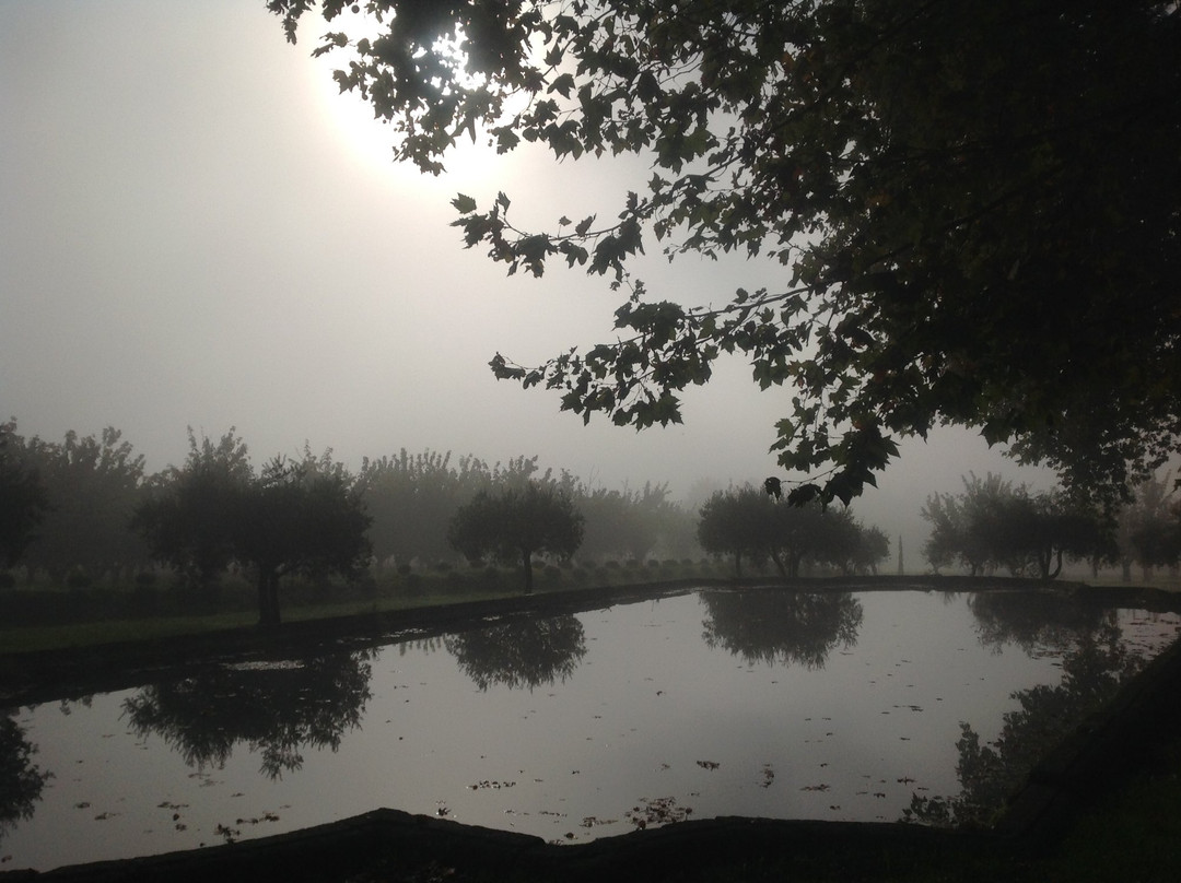 Domaine la Carraire主图