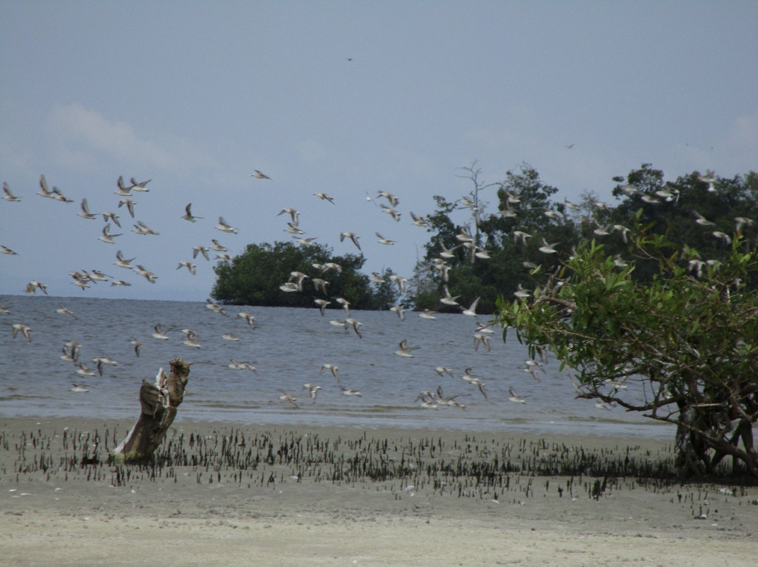 Akanda National Park-利伯维尔必去景点