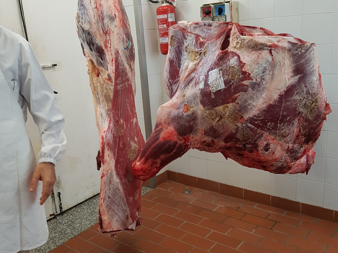 Macelleria Ricci景点图片