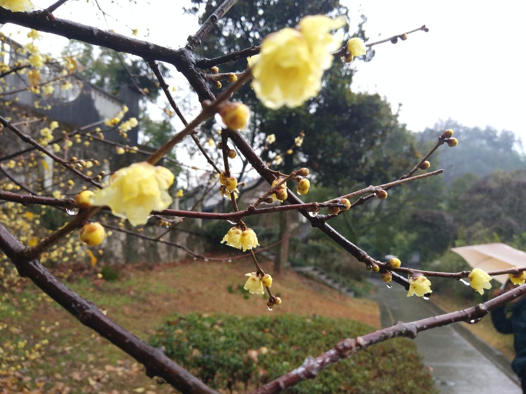 新昌千佛洞-新昌县必去景点
