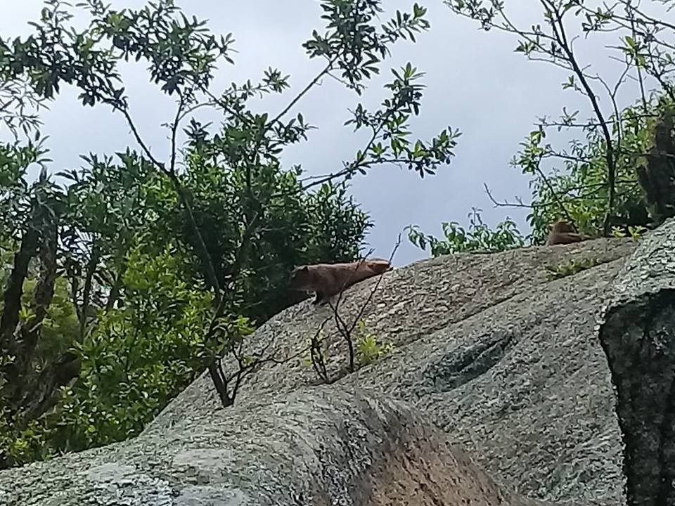 Gooderson Natal Spa Hot Springs & Leisure Resort主图