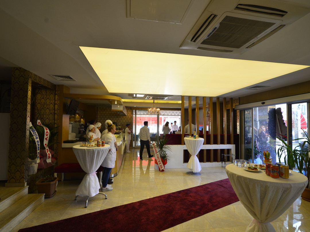 Hotel Duzce Surur & Spa主图