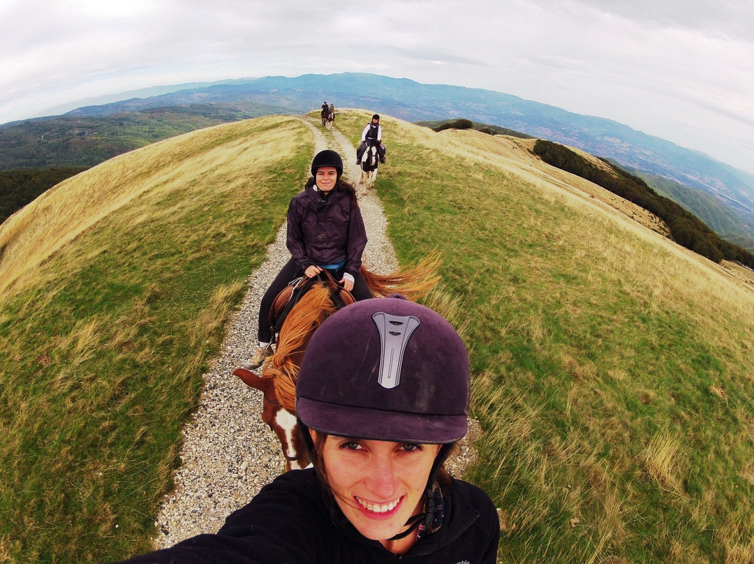 Maneggio Madre Terra-佛罗伦萨必去景点